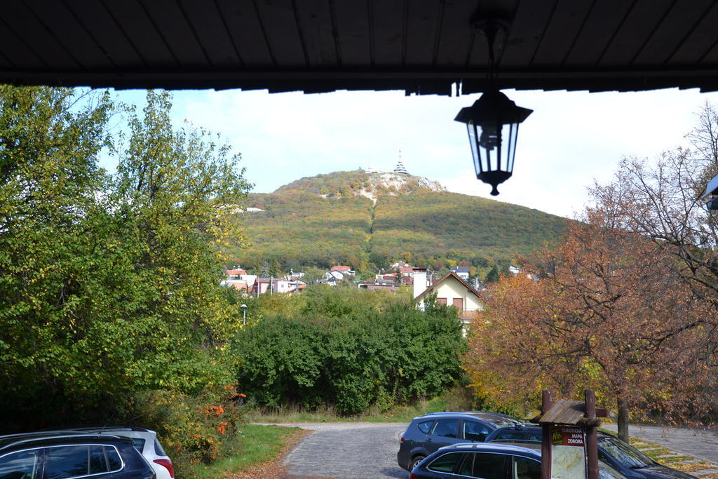 Penzion Artin Nitra Exteriér fotografie